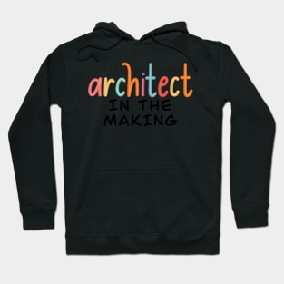 architect in the making Hoodie